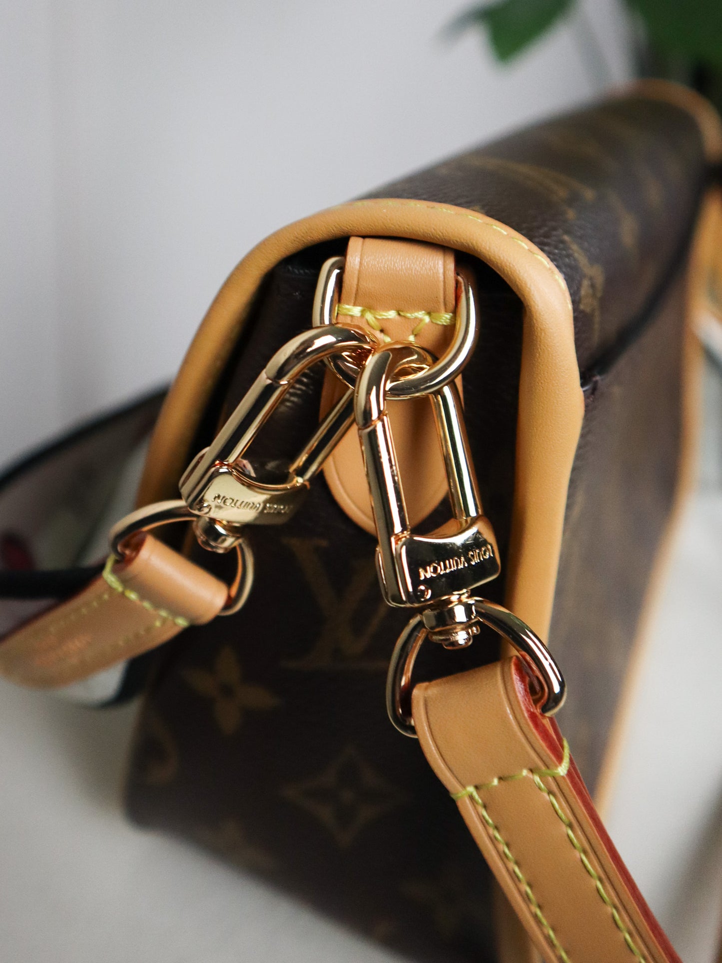 Louis Vuitton Borsa Diane Tela Monogram