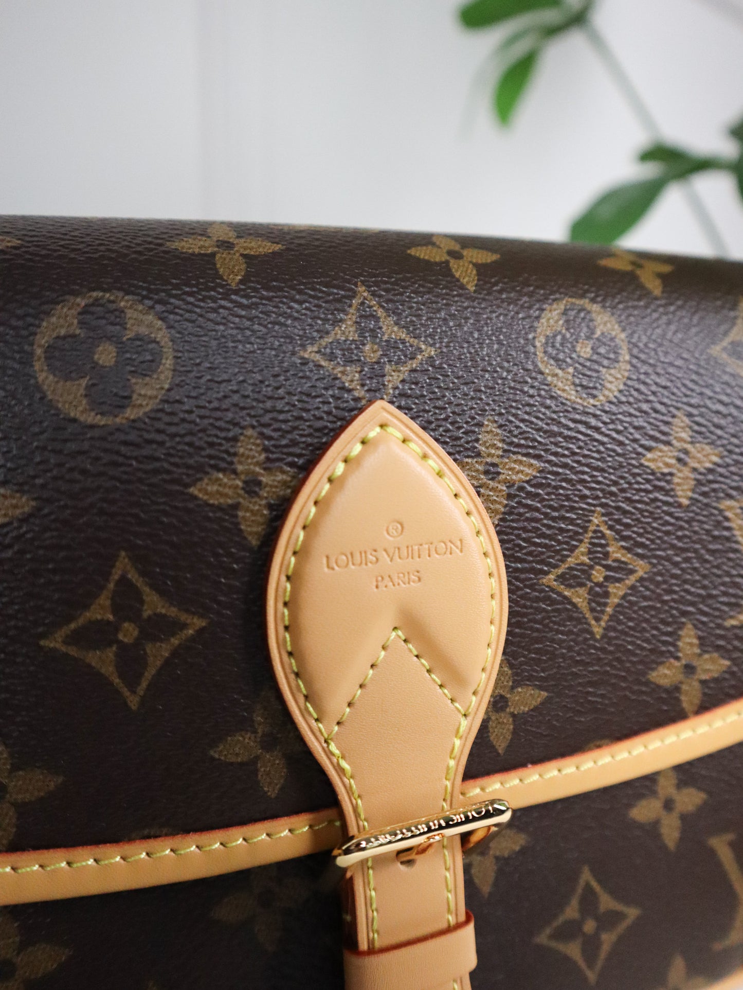 Louis Vuitton Borsa Diane Tela Monogram