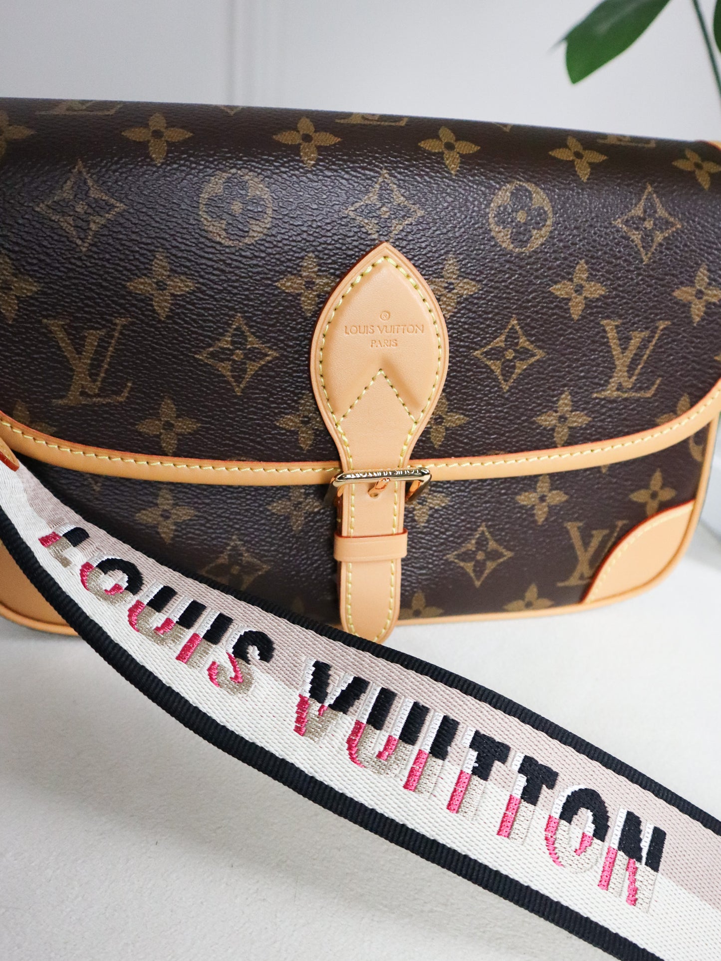 Louis Vuitton Borsa Diane Tela Monogram