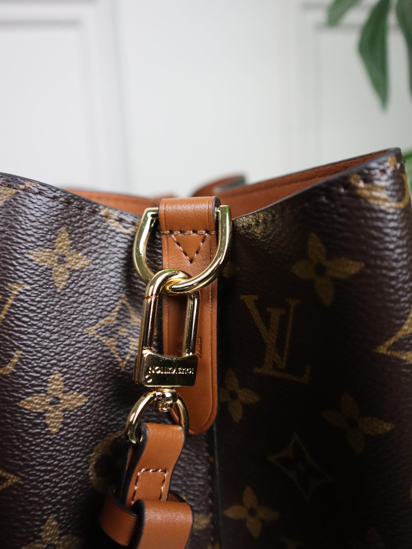 Louis Vuitton Borsa Neonoè monogram marrone