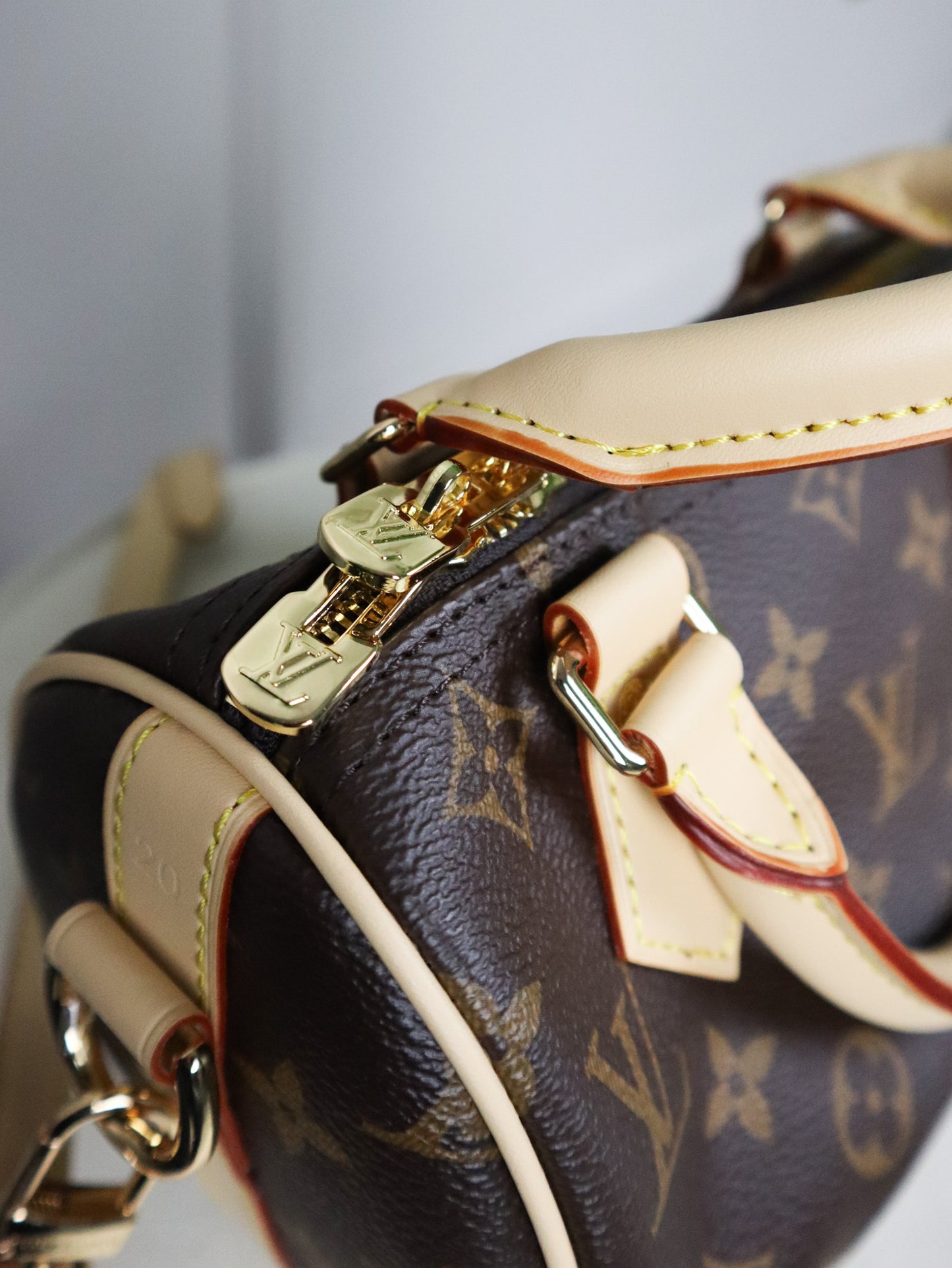 Louis Vuitton Borsa Speedy Bandoulière 20 monogram