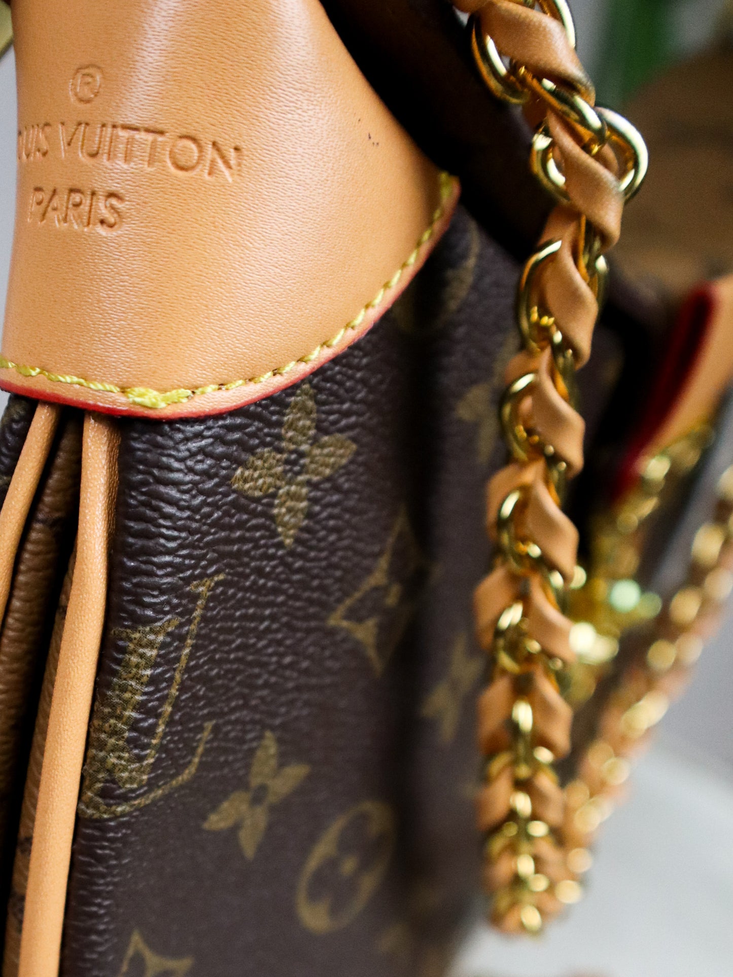 Louis Vuitton Borsa Twinny monogram
