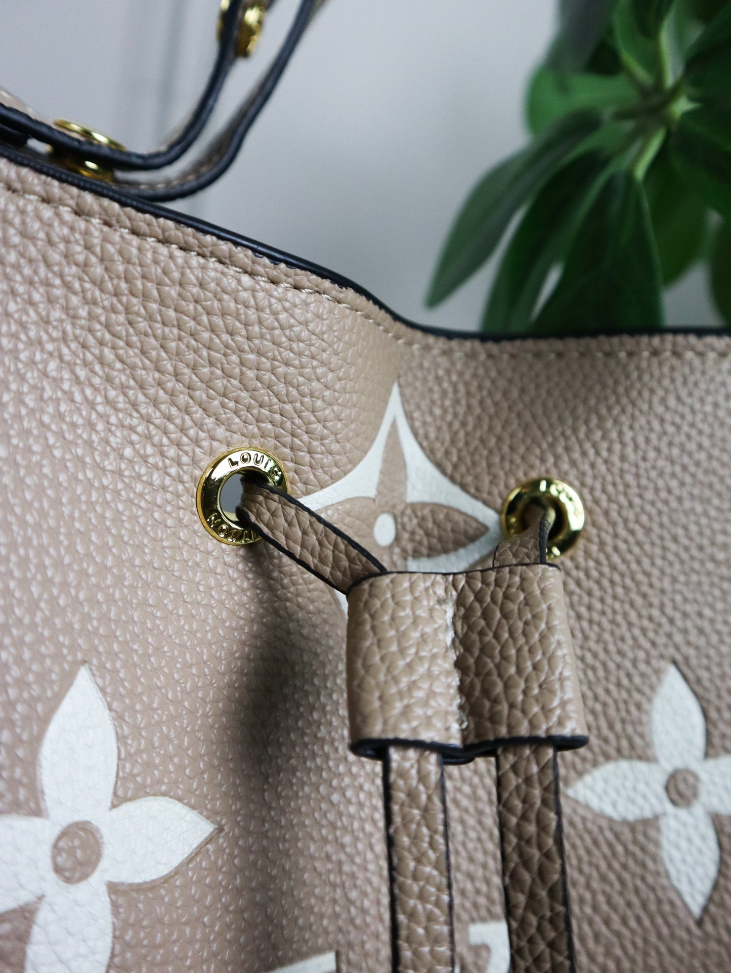 Louis Vuitton Borsa a Spalla Néonoé beige