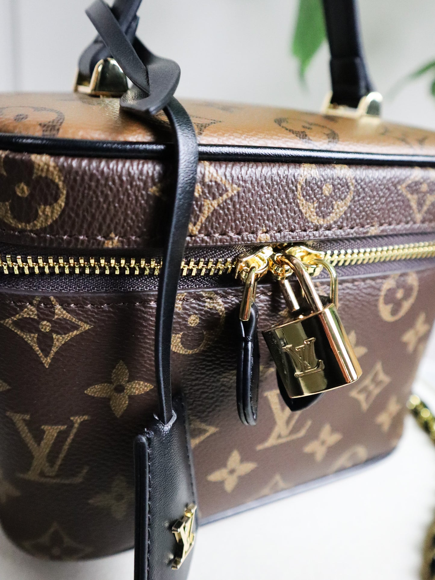 Louis Vuitton Pochette Vanity con catenella Monogram Reverse Canvas
